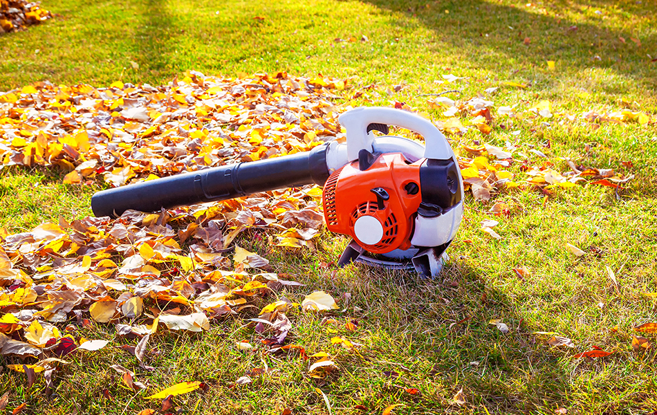 cordless leaf blower