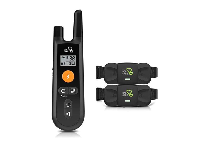 dog care dog training collar