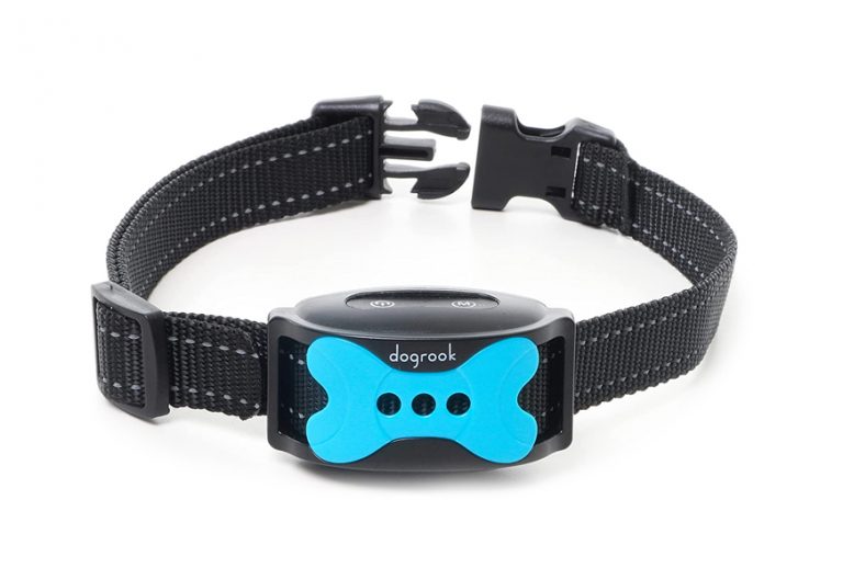 Best Dog Bark Collars In 2022 [Buying Guide] Gear Hungry