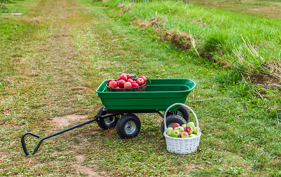 garden carts