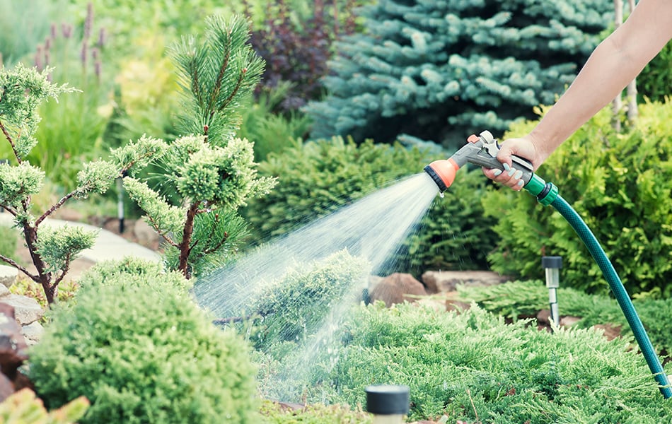 garden hose nozzle