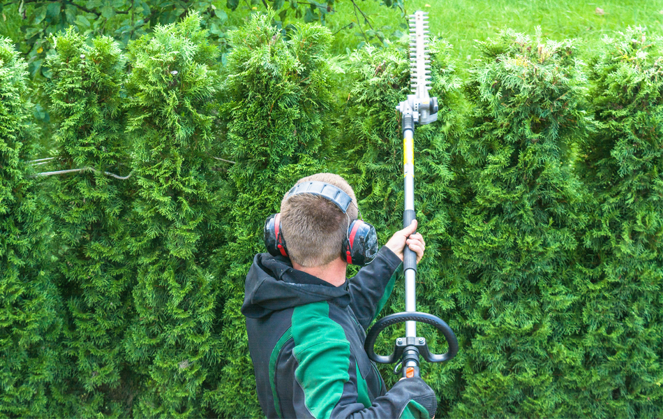 hedge trimmers faq