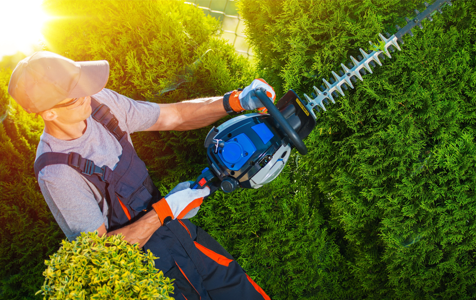 https://www.gearhungry.com/wp-content/uploads/2022/07/hedge-trimmers-faq.jpg