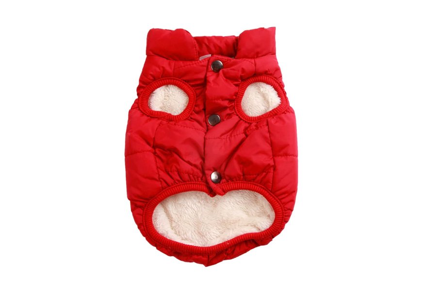 joydaog warm dog jacket