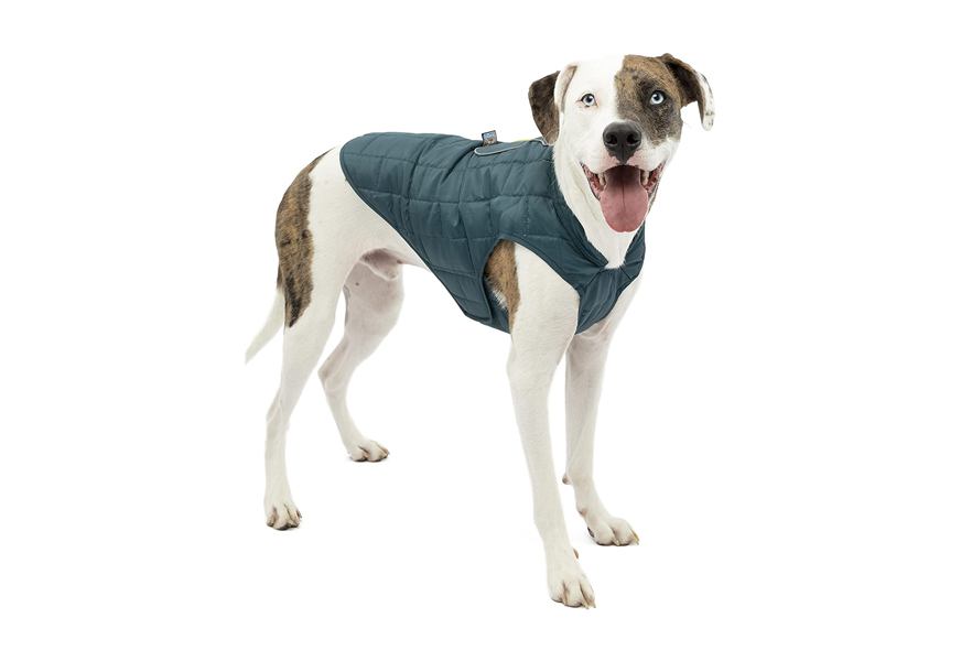 kurgo dog jacket