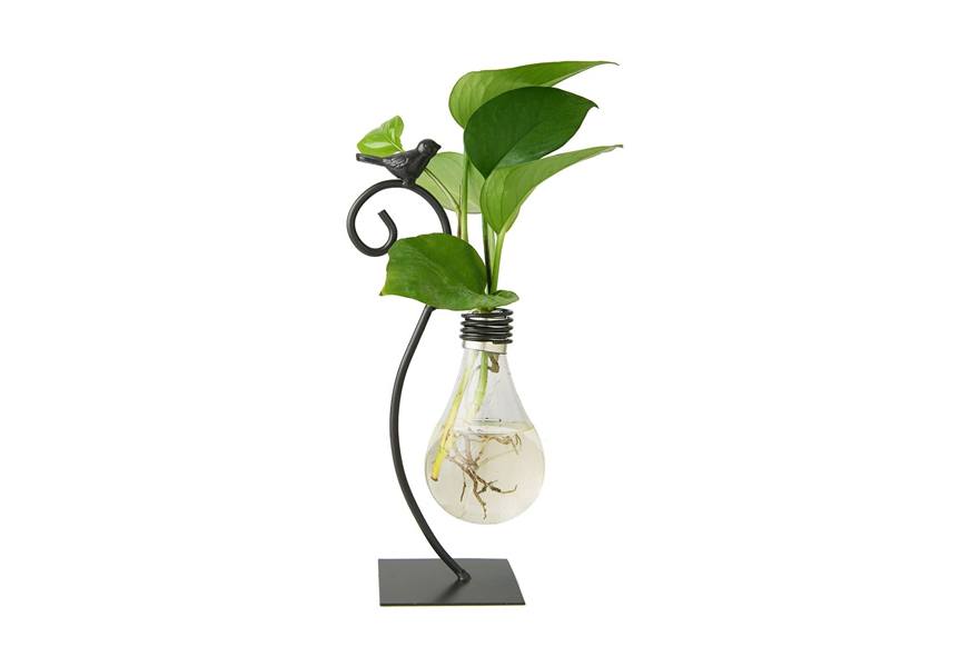 marbrasse desktop glass planter hydroponics vase