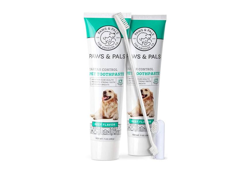 paws & pals dog toothpaste and toothbrush