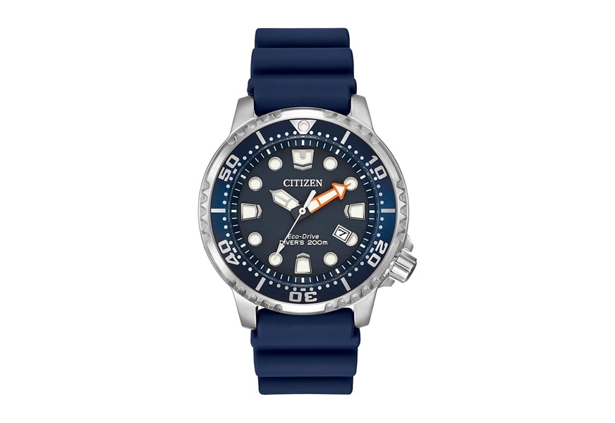 promaster diver citizen watch