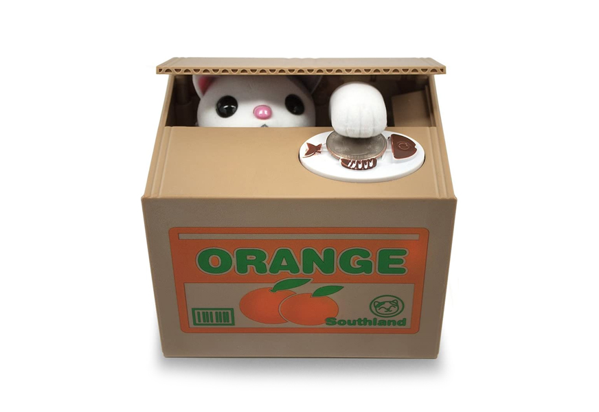 stealing coin cat box