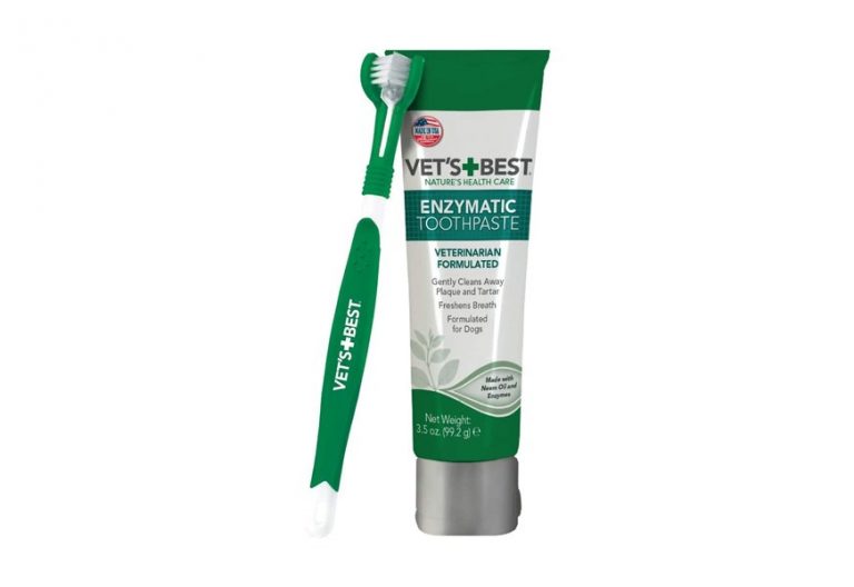 Best Toothpaste for Dogs In 2022 [Buying Guide] Gear Hungry