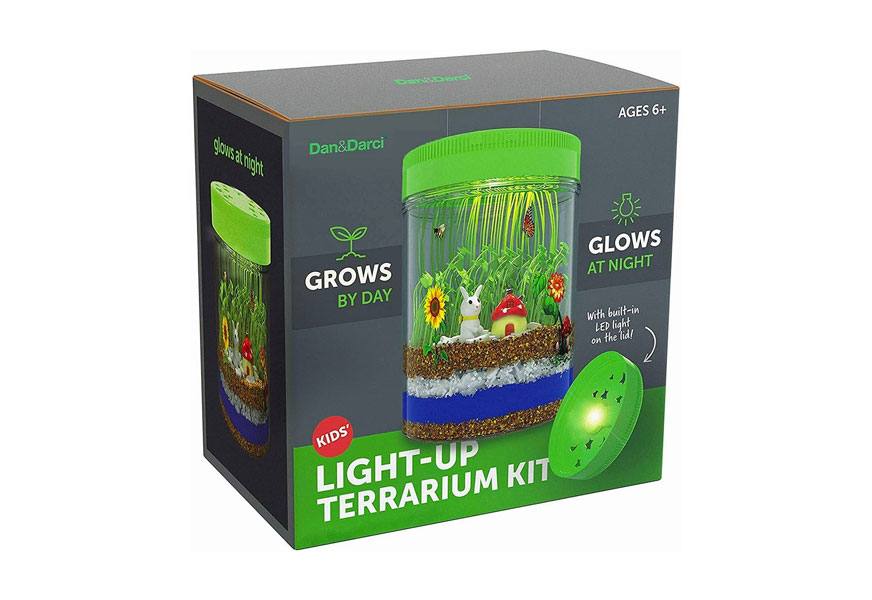 dan & darci light up terrarium kit