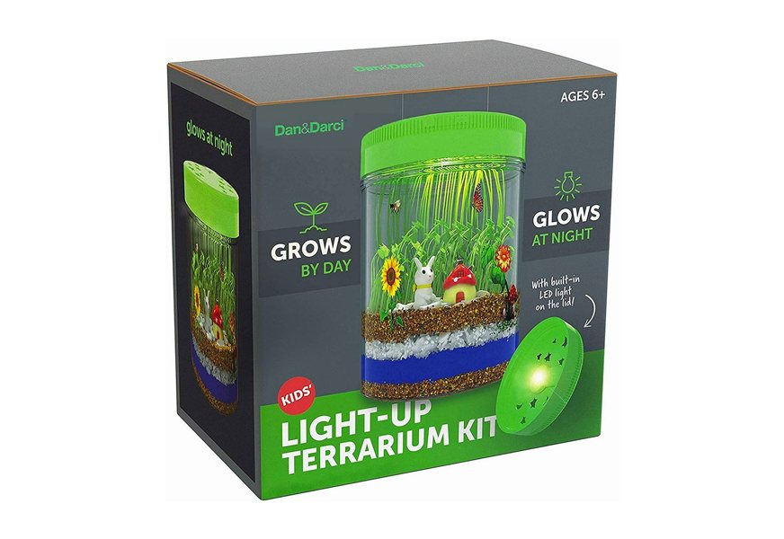 light up terrarium kit for kids with led light on lid