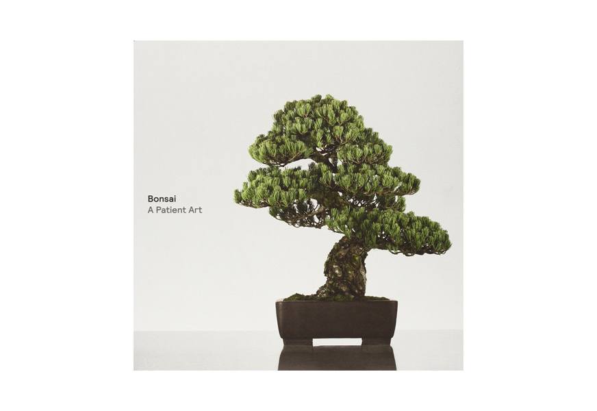 bonsai a patient art
