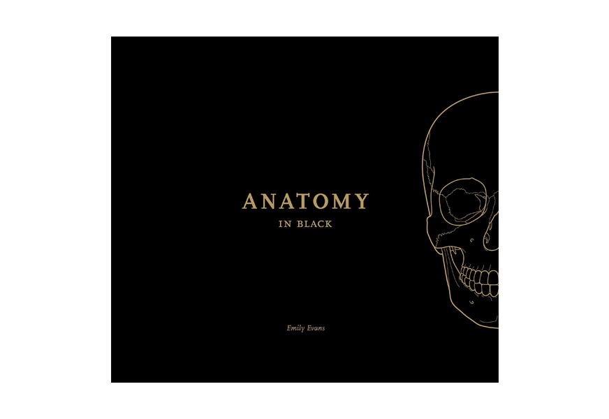 anatomy in black