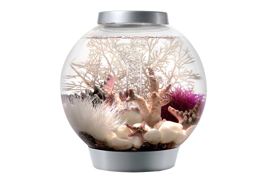 biorb classic aquarium with led light