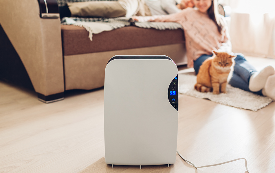 commercial dehumidifier