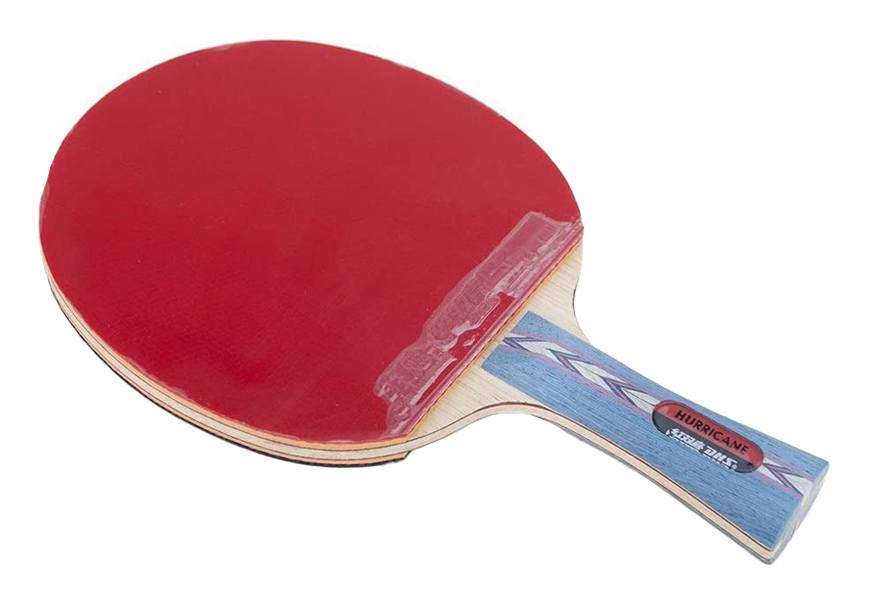dhs hurricane-ii tournament ping pong paddle
