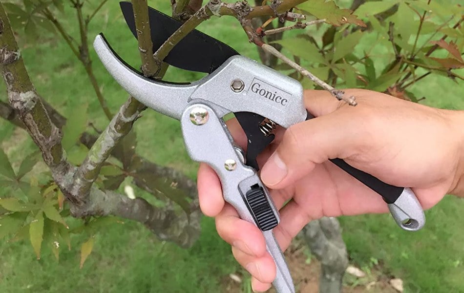 Best Pruning Shears In 2022 [Buying Guide] Gear Hungry