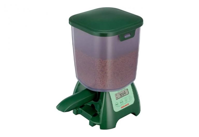 Best Automatic Fish Feeders in 2022 [Buying Guide] Gear Hungry
