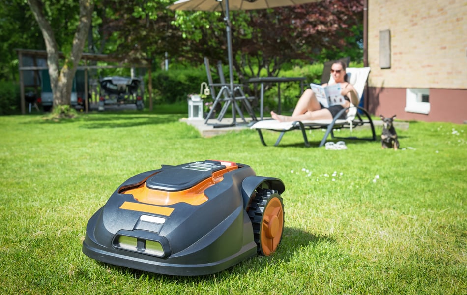 robotic lawn mower mowing the backyard