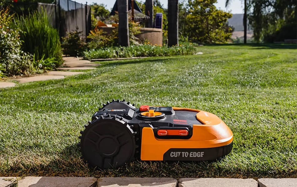robotic mower in the yard