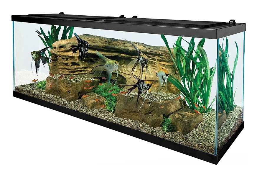 tetra 55 gallon aquarium kit