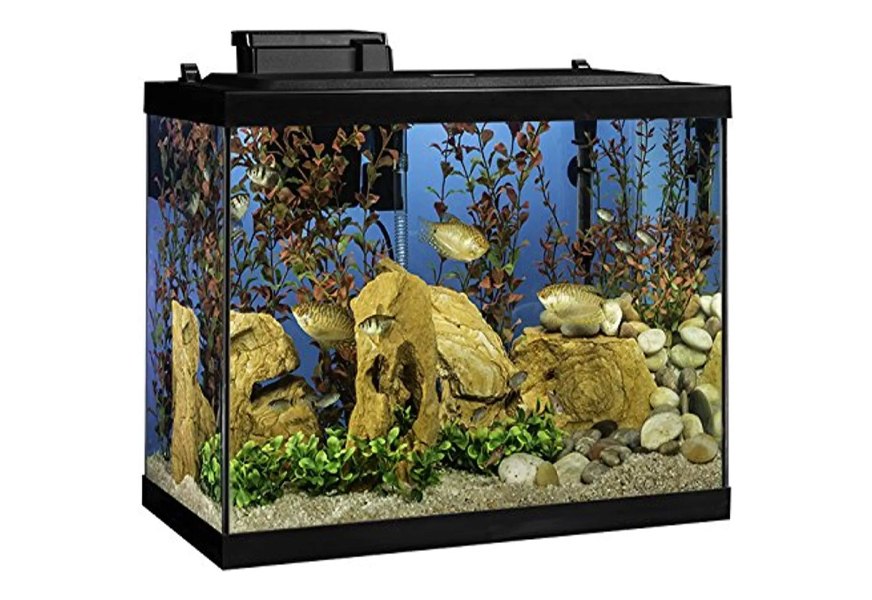 tetra aquarium 20 gallon fish tank kit