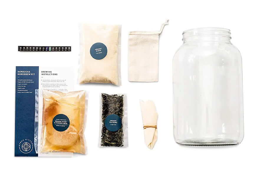 urban kitchen kombucha starter kit