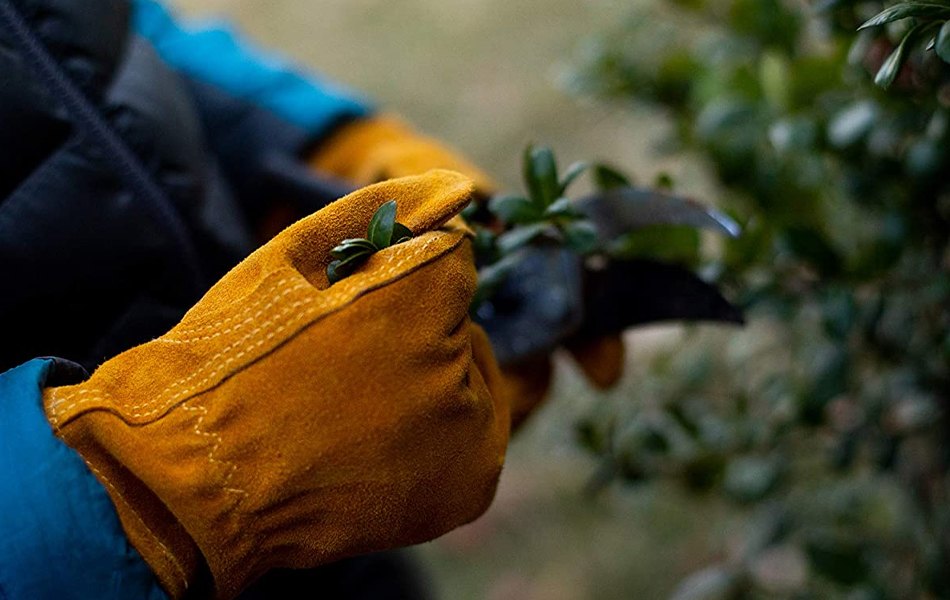 boy using gardening gloves