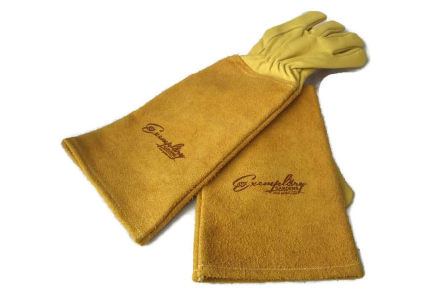 exemplary gardens rose pruning gardening gloves