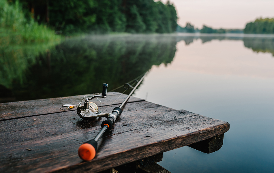 Best Saltwater Fishing Rods In 2022 [Buying Guide] – Gear Hungry