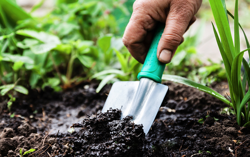 garden trowel