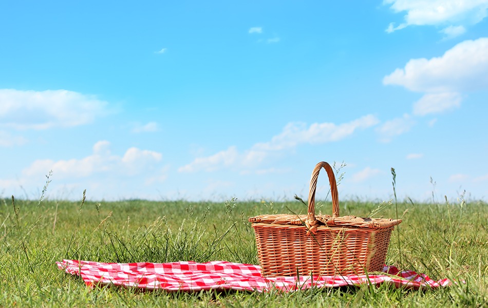 picnic basket