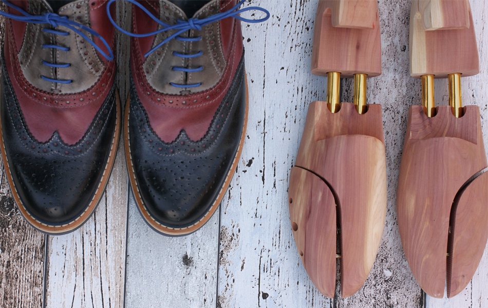 Best shoe stretcher
