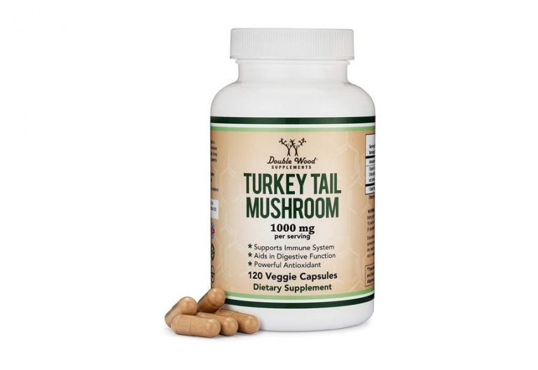 Best Mushroom Supplements In 2022 [Buying Guide] Gear Hungry