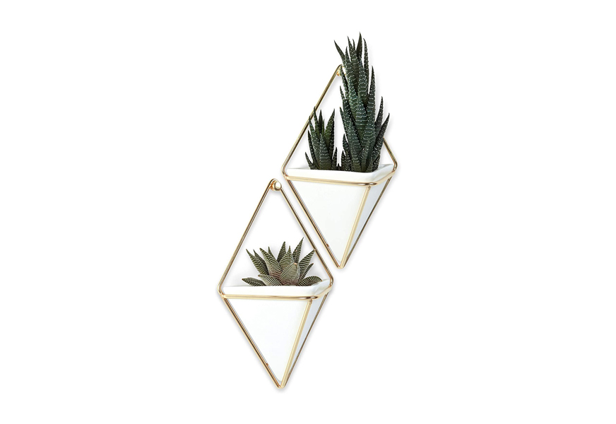 umbra trigg hanging planter vase & geometric wall decor container
