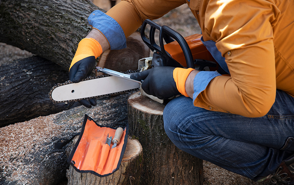 chainsaw sharpener