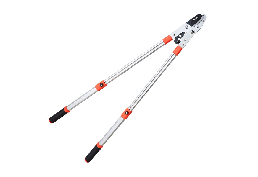 thanos extendable anvil loppers tree trimmer