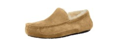 ugg men's ascot slipper