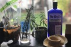 dr.teal’s lavender foaming bath