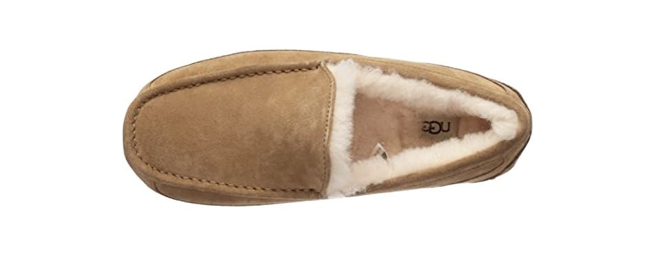 ugg men