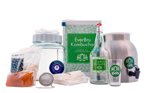 northern brewer everbru kombucha starter kit