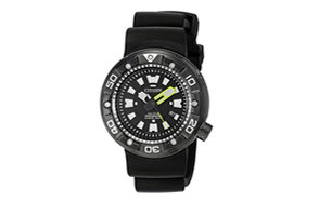 promaster diver citizen watch