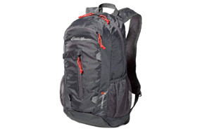 eddie bauer stowaway packable day pack