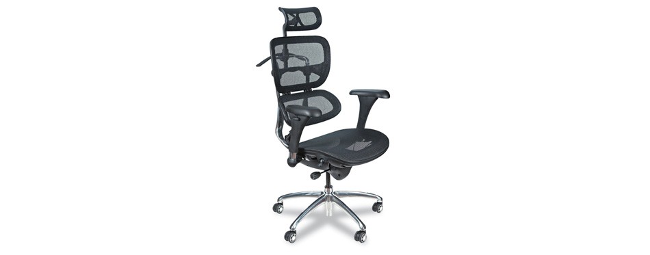Balt Butterfly Ergonomic Executive