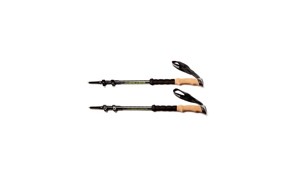 Best Trekking Poles