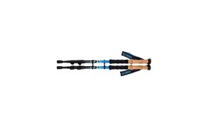 Best Trekking Poles