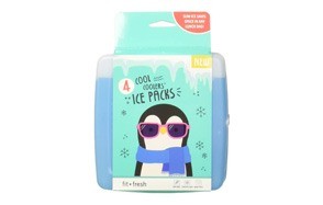 fit & fresh cool coolers freezer packs slim ice pack for lunch box