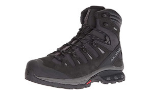 salomon quest 4d 3 gore-tex men's backpacking boots