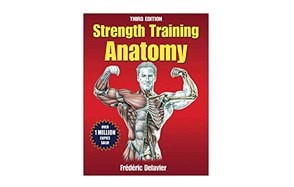 strength training anatomy